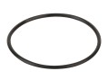  Уплотнительное кольцо диффузора Aquaviva (02011004) 