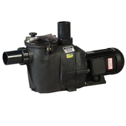 Насос Hayward RS II RS30111 (220В, 17 м3/ч, 1НР)