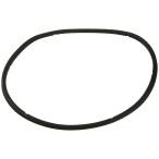  Уплотнительное кольцо крышки префильтра насоса Aquaviva AVP серии 