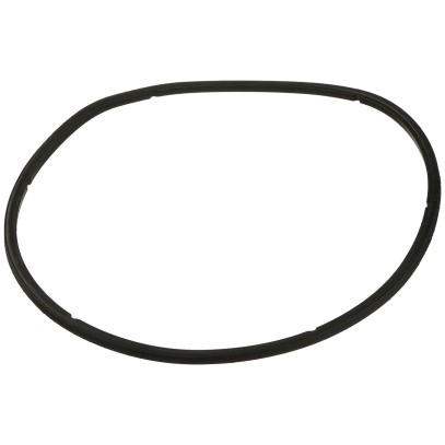 Уплотнительное кольцо крышки префильтра насоса Aquaviva AVP серии Уплотнительное кольцо крышки префильтра насоса Aquaviva AVP серии