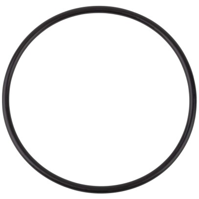  Уплотнительное кольцо крышки префильтра насоса Aquaviva VWS/STP 150-300 