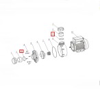  Уплотнительное кольцо соединительной муфты для насоса Aquaviva WTC 