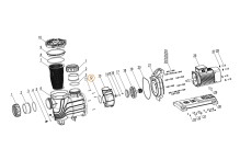 Прокладка-кольцо аппарата направления насоса SLP400-1000T/WLP400-1000T Mayer Schwimmbad F02010154