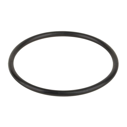 Уплотнительное кольцо Emaux фильтра HD 2011013