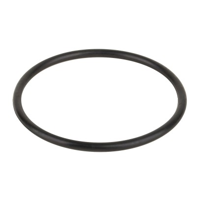  Уплотнительное кольцо соединительной муфты насоса Aquaviva VWS/STP 25-120 