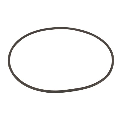 Уплотнительное кольцо Emaux фланца насоса SP 2011079